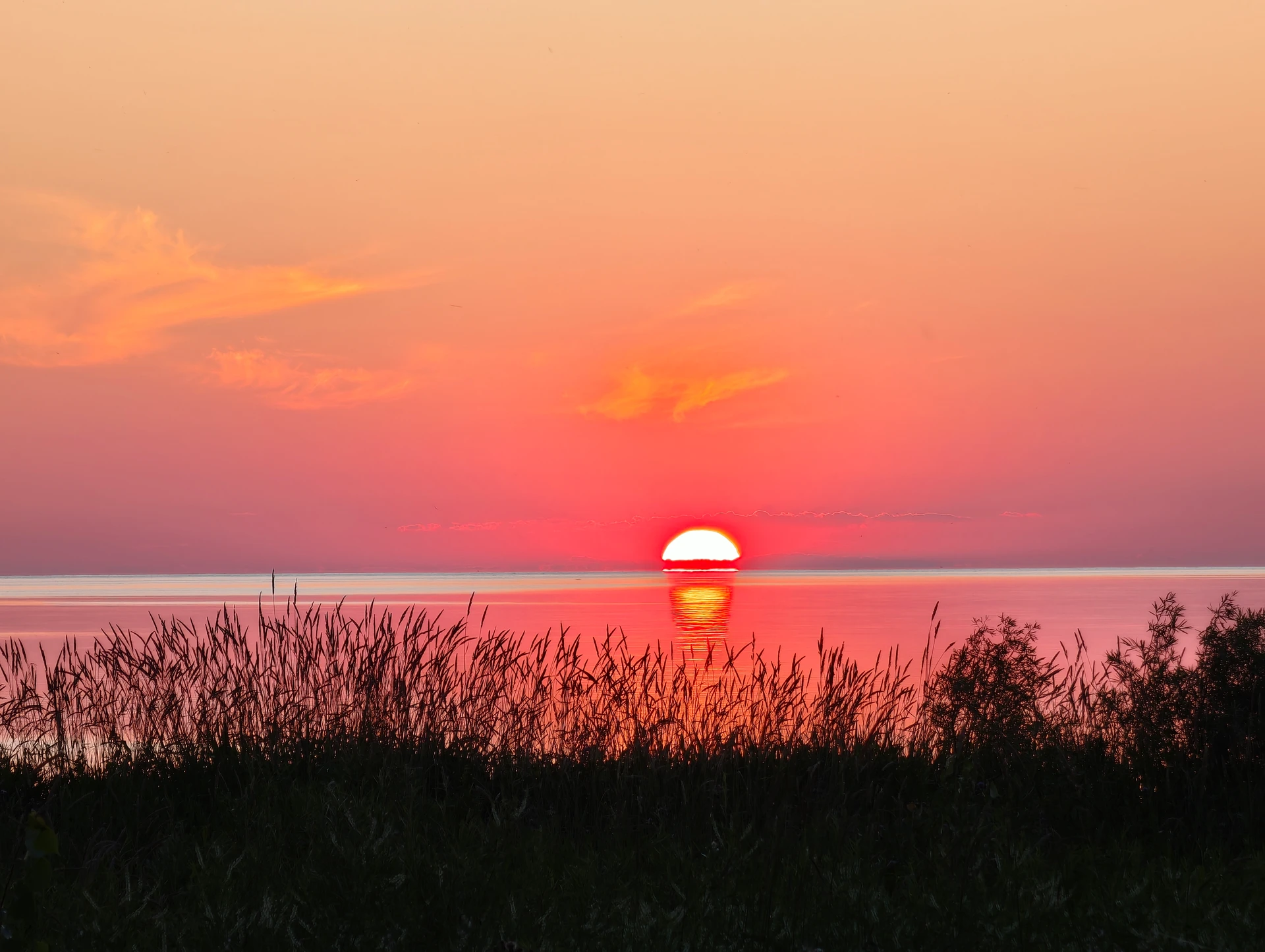 The sun setting over calm water behind shoreline reeds