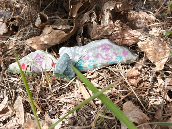 Hand-painted stones resting among leaves, soil, and fresh green growth